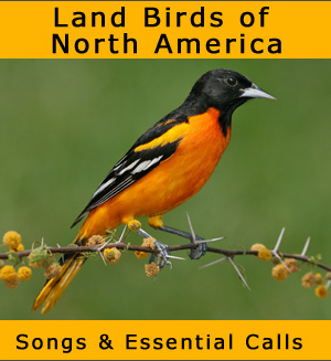Land Birds of North America songpack