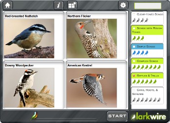 Rattles and Trills gallery game