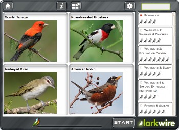 Robin-like gallery game