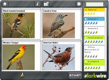 Robin-like comparison group in Gallery game